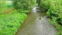  Blick auf die Mank flussaufwrts 